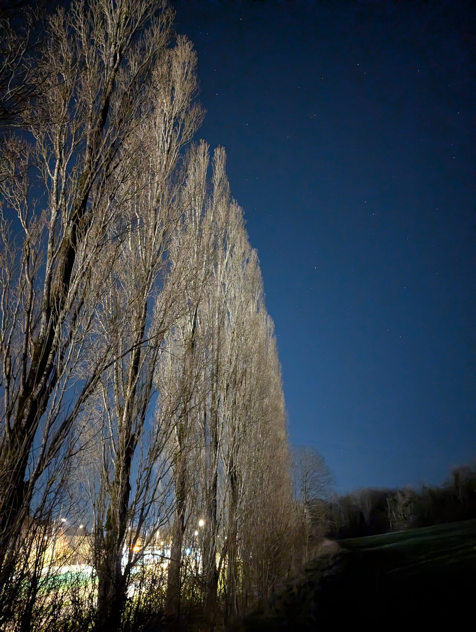 Paysages 